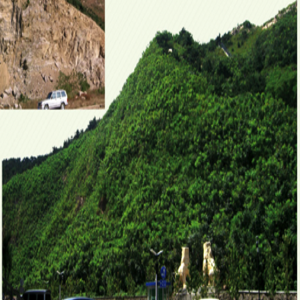 边坡生态修复设计与施工
Design & construction for slope ecological restoration 边坡生态修复设计与施工
Design & construction for slope ecological restoration